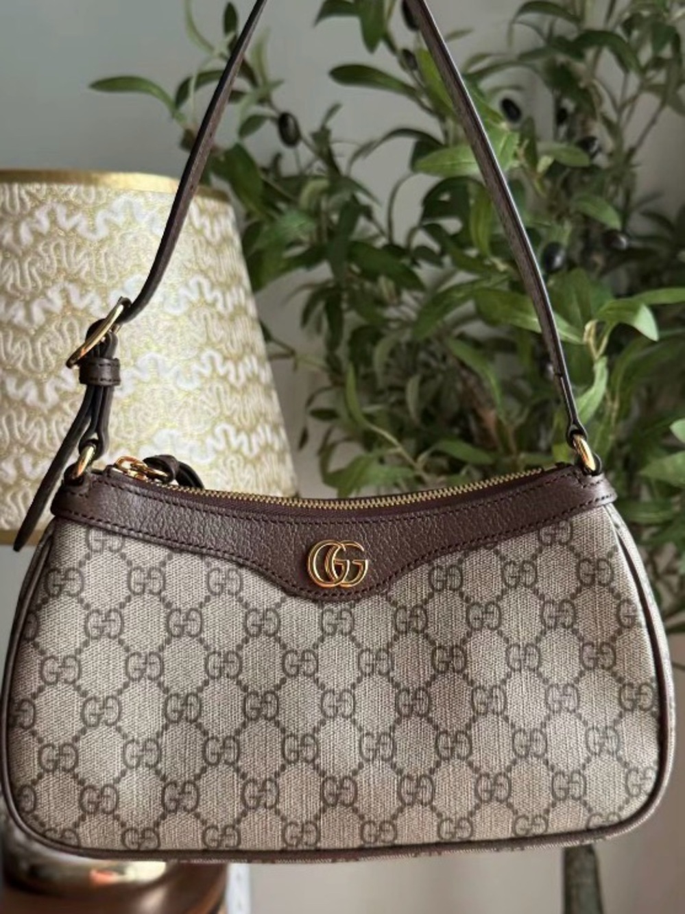 Gucci GG Supreme Brown Shoulder Bag
